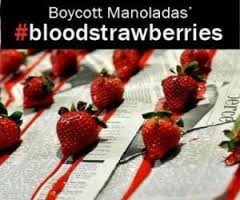 Σοκ και αποτροπιασμός για τις «φράουλες της ντροπής»